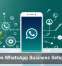 AI Makes WhatsApp Business Setup Easier